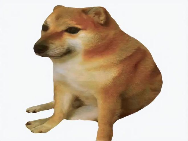 狗狗币到现在涨了多少倍?最高涨了多少倍? - php中文网